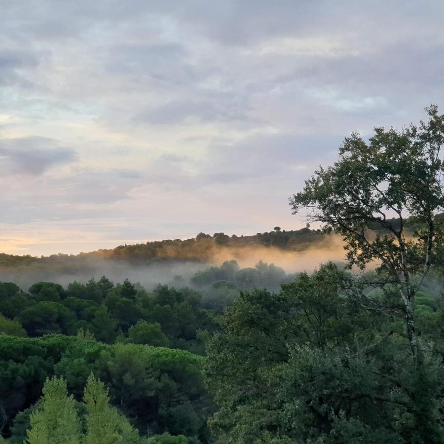 Charmant Studio Proche Lac Et Foret Carcassonne Eksteriør billede